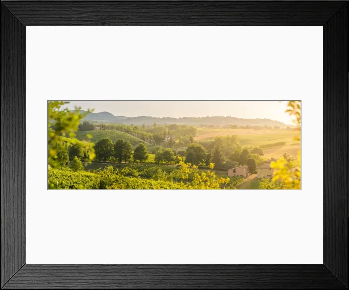 Framed Print : Castelvetro di Modena, panoramic view of hills and green trees at sunset Framed Print : Castelvetro di Modena, panoramic view of hills and green trees at sunset