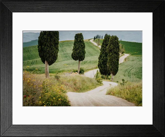 Framed Print : Path with cypress trees and meadow, Val d Orcia, Tuscany, Italy Framed Print : Path with cypress trees and meadow, Val d Orcia, Tuscany, Italy
