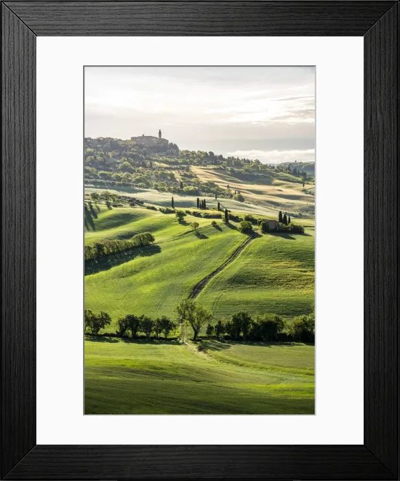 Framed Print : Pienza in background, green meadow and spring field in foreground, Val d Orcia Framed Print : Pienza in background, green meadow and spring field in foreground, Val d Orcia