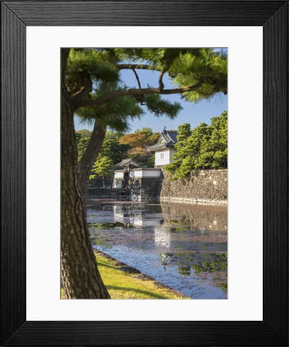 Framed Print : Moat and walls of Imperial Palace, Tokyo, Japan Framed Print : Moat and walls of Imperial Palace, Tokyo, Japan