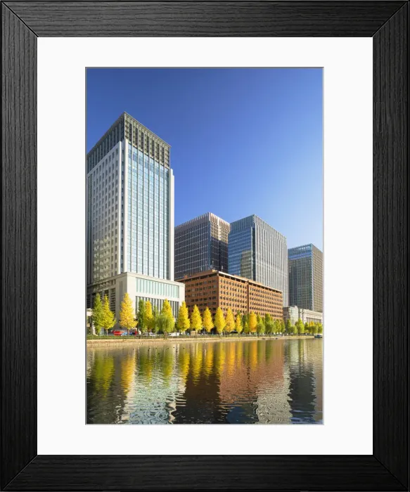 Framed Print : Skyscrapers of Marunouchi and Imperial Palace moat, Tokyo, Japan Framed Print : Skyscrapers of Marunouchi and Imperial Palace moat, Tokyo, Japan