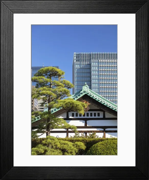 Framed Print : Imperial Palace East Garden, Tokyo, Japan
