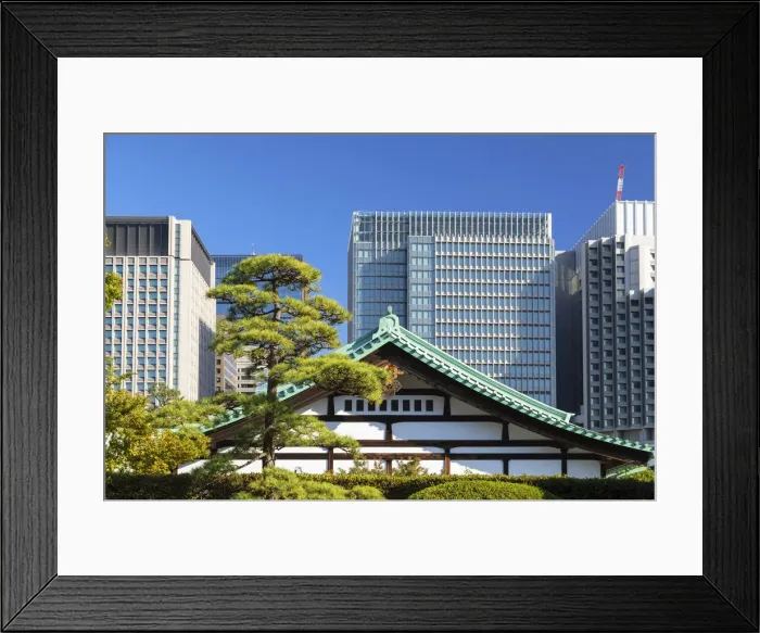 Framed Print : Imperial Palace East Garden and skyscrapers of Marunouchi, Tokyo, Japan