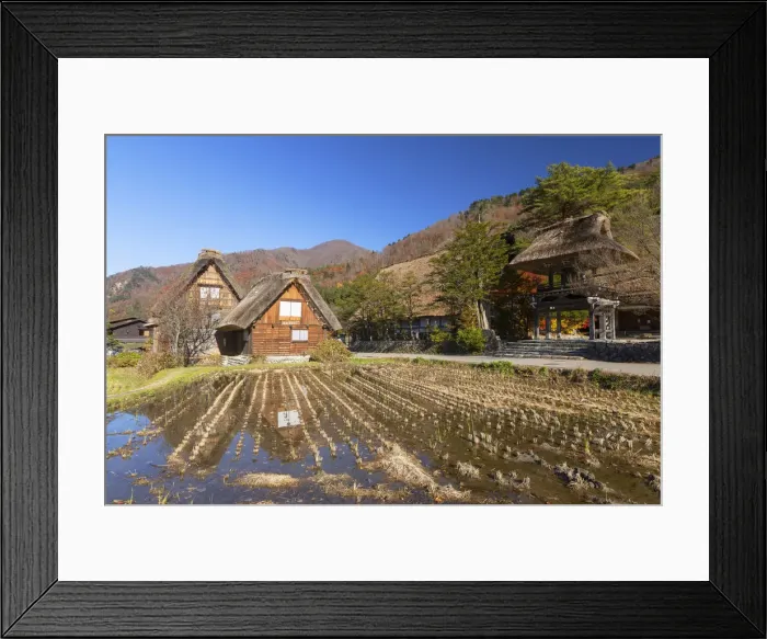 Framed Print : Traditional houses of Ogimachi (UNESCO World Heritage Site), Shirakawa-go Framed Print : Traditional houses of Ogimachi (UNESCO World Heritage Site), Shirakawa-go