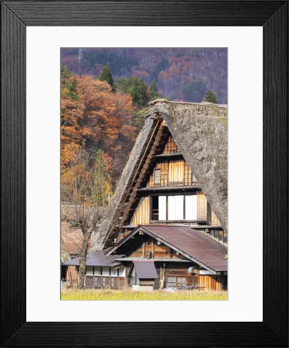 Framed Print : Traditional house of Ogimachi (UNESCO World Heritage Site), Shirakawa-go Framed Print : Traditional house of Ogimachi (UNESCO World Heritage Site), Shirakawa-go