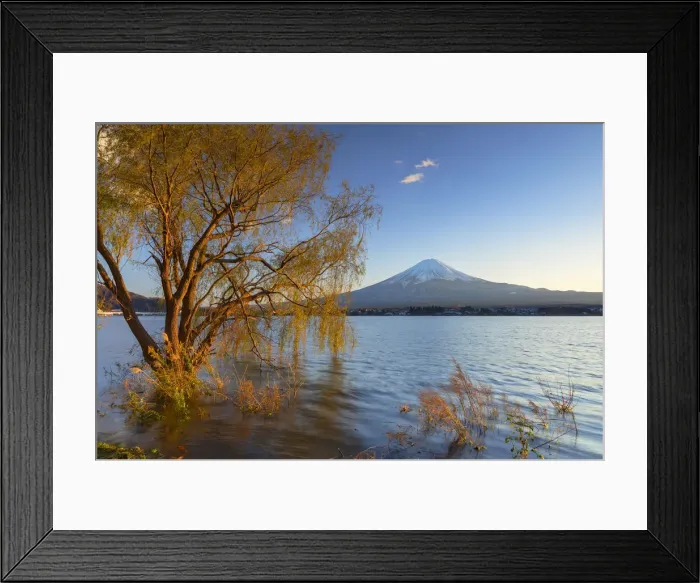 Framed Print : Mount Fuji and Lake Kawaguchi, Yamanashi Prefecture, Japan Framed Print : Mount Fuji and Lake Kawaguchi, Yamanashi Prefecture, Japan