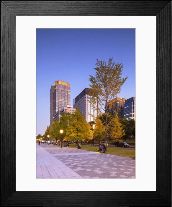 Framed Print : Skyscrapers of Marunouchi at dusk, Tokyo, Japan Framed Print : Skyscrapers of Marunouchi at dusk, Tokyo, Japan