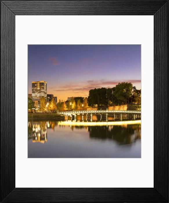 Framed Print : Imperial Palace and Wadakuramon Gate at dusk, Tokyo, Japan Framed Print : Imperial Palace and Wadakuramon Gate at dusk, Tokyo, Japan