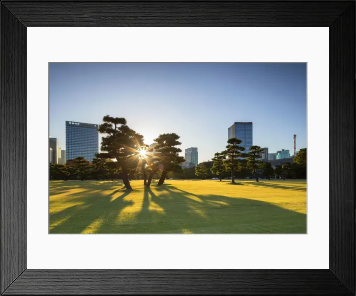 Framed Print : Skyscrapers of Marunouchi and gardens of Imperial Palace at sunrise, Tokyo, Japan