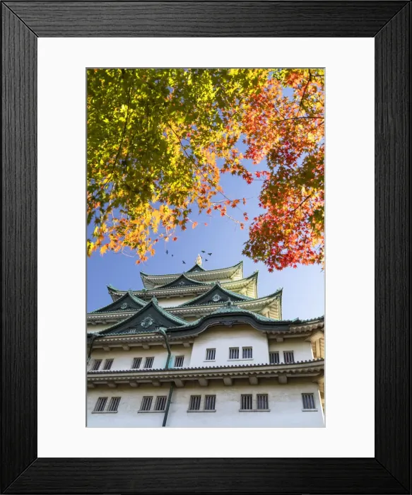 Framed Print : Nagoya Castle, Nagoya, Japan