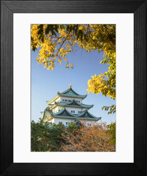 Framed Print : Nagoya Castle, Nagoya, Japan Framed Print : Nagoya Castle, Nagoya, Japan