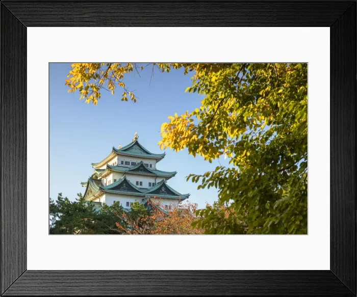 Framed Print : Nagoya Castle, Nagoya, Japan Framed Print : Nagoya Castle, Nagoya, Japan