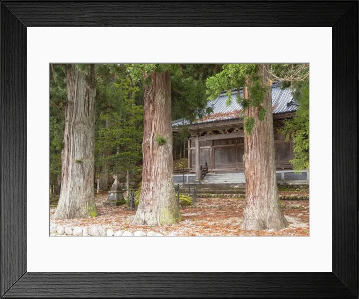 Framed Print : Temple in forest, Ogimachi, Shirakawa-go, Toyama Prefecture, Japan Framed Print : Temple in forest, Ogimachi, Shirakawa-go, Toyama Prefecture, Japan
