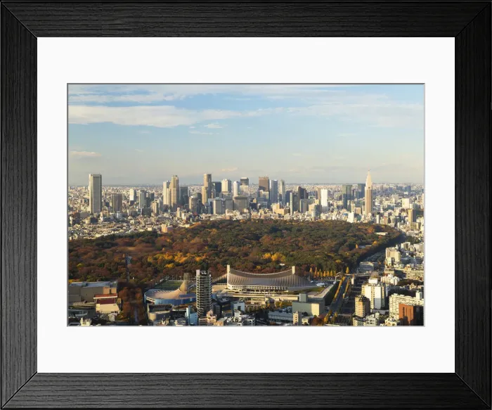 Framed Print : View of Shinjuku skyline and downtown, Tokyo, Japan Framed Print : View of Shinjuku skyline and downtown, Tokyo, Japan