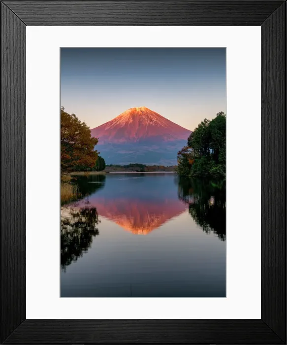 Framed Print : Mt. Fuji Reflecting in Lake Tanuki, Fujinomiya, Shizouka, Honshu, Japan Framed Print : Mt. Fuji Reflecting in Lake Tanuki, Fujinomiya, Shizouka, Honshu, Japan