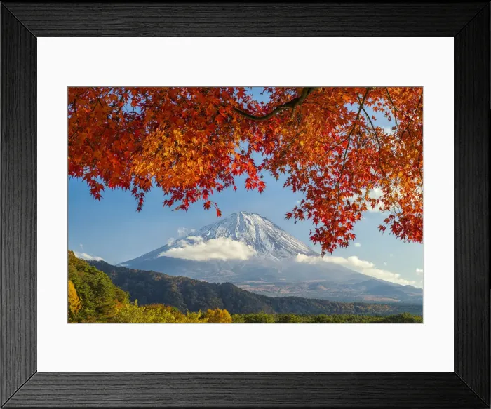 Framed Print : Mt. Fuji in Autumn, Fujinomiya, Shizouka, Honshu, Japan
