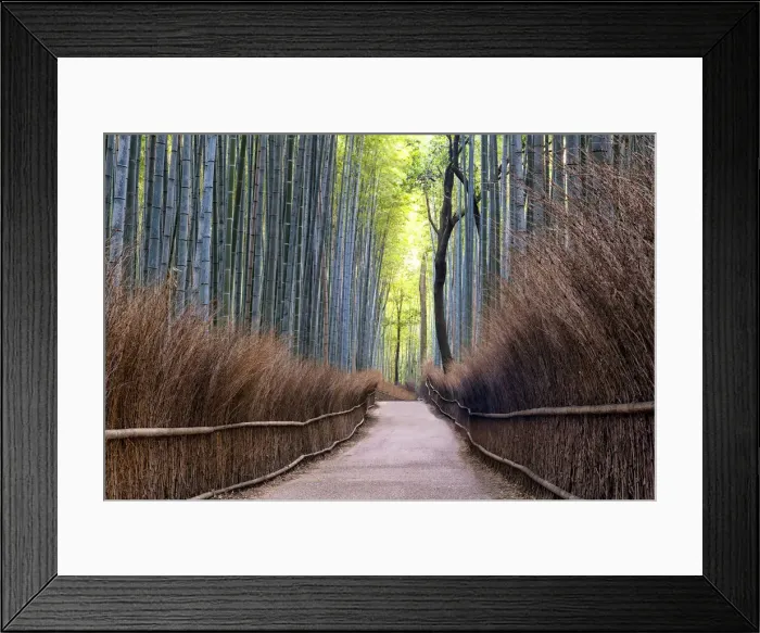 Framed Print : Path Through Bamboo Forest, Sagano, Arashiyama, Kyoto, Japan