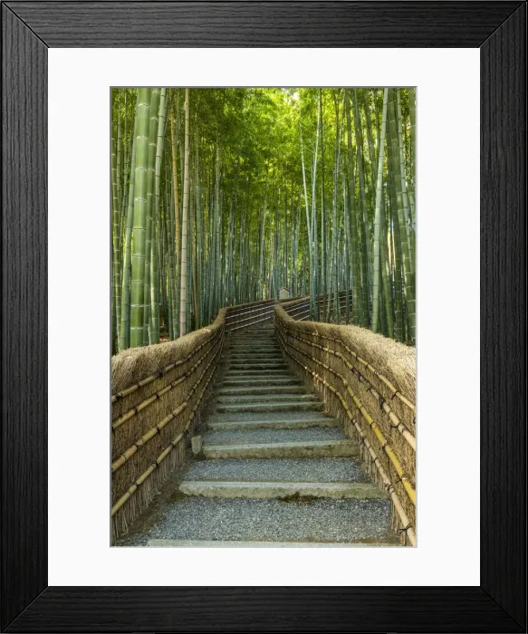 Framed Print : Steps Through Bamboo Forest, Adashino Nembutsu-ji Temple, Arashiyama, Kyoto, Japan Framed Print : Steps Through Bamboo Forest, Adashino Nembutsu-ji Temple, Arashiyama, Kyoto, Japan