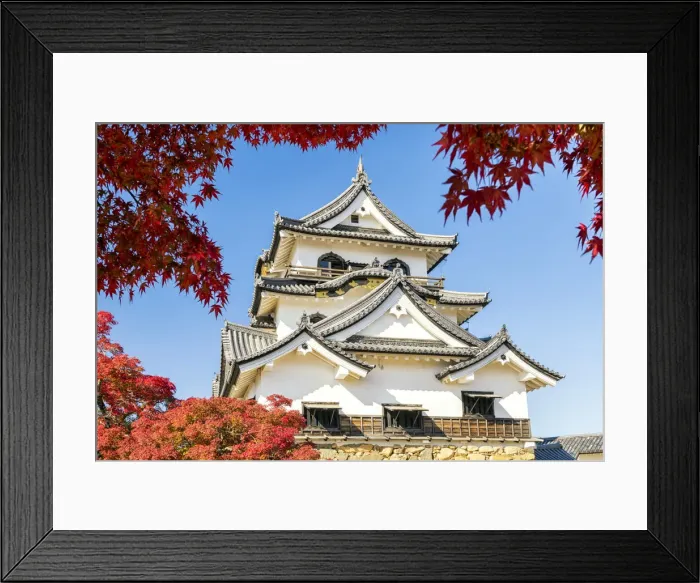 Framed Print : Hikone Castle in Autumn, Shiga Prefecture, Japan Framed Print : Hikone Castle in Autumn, Shiga Prefecture, Japan