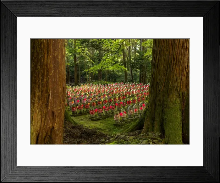 Framed Print : Forest of a 1000 Buddhas, Kongorin-ji Temple, Shiga Prefecture, Japan Framed Print : Forest of a 1000 Buddhas, Kongorin-ji Temple, Shiga Prefecture, Japan