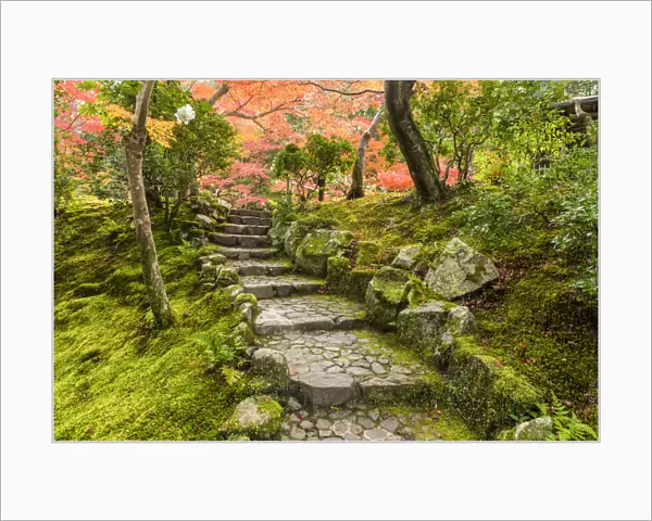 Garden Steps in Autumn, Jardin Isuien, Nara, Kansai, Japan