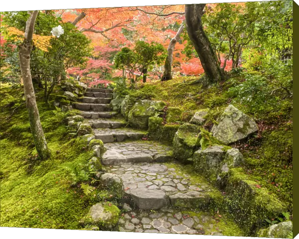 Garden Steps in Autumn, Jardin Isuien, Nara, Kansai, Japan