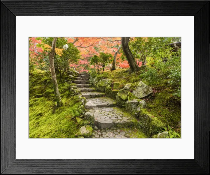 Framed Print : Garden Steps in Autumn, Jardin Isuien, Nara, Kansai, Japan Framed Print : Garden Steps in Autumn, Jardin Isuien, Nara, Kansai, Japan