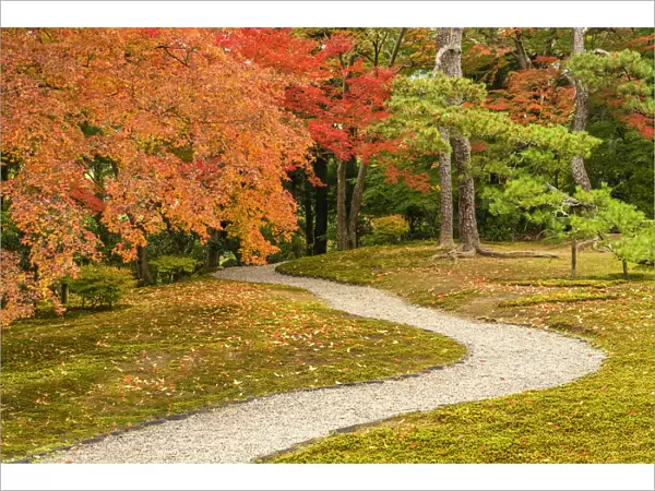 Garden Path in Autumn, Jardin Isuien, Nara, Kansai, Japan