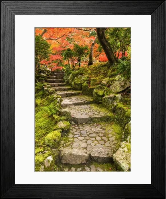 Framed Print : Garden Steps in Autumn, Jardin Isuien, Nara, Kansai, Japan Framed Print : Garden Steps in Autumn, Jardin Isuien, Nara, Kansai, Japan