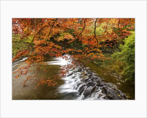 Takano River in Autumn, Kyoto, Japan
