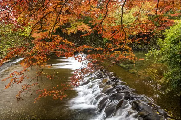 Takano River in Autumn, Kyoto, Japan