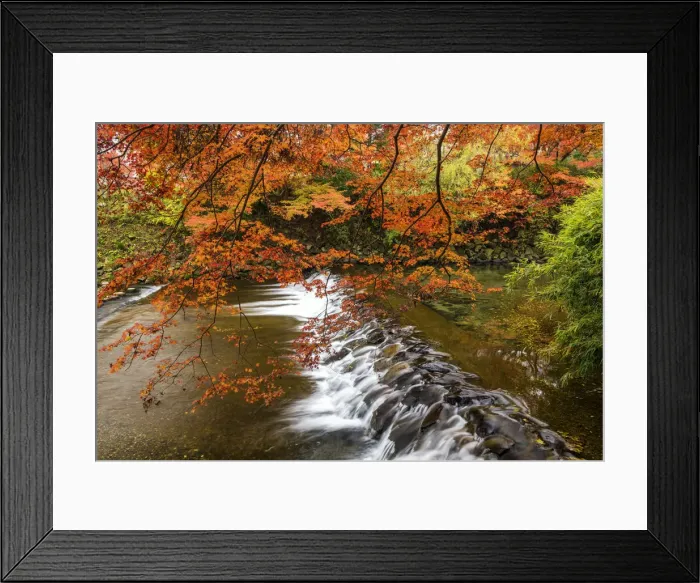 Framed Print : Takano River in Autumn, Kyoto, Japan