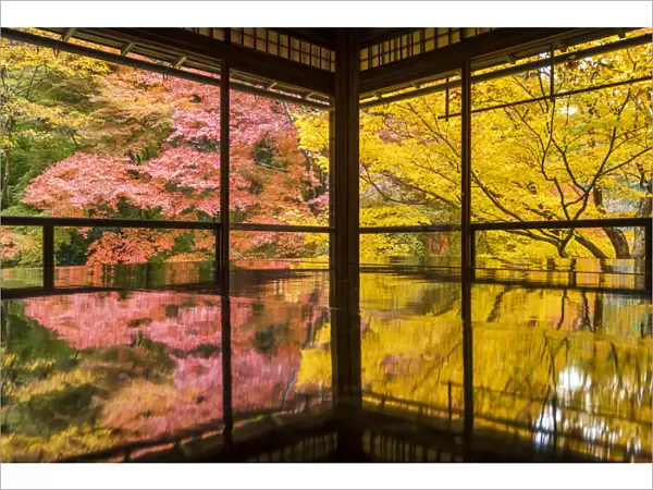 Rurikoin Temple Garden Reflection, Kyoto, Japan