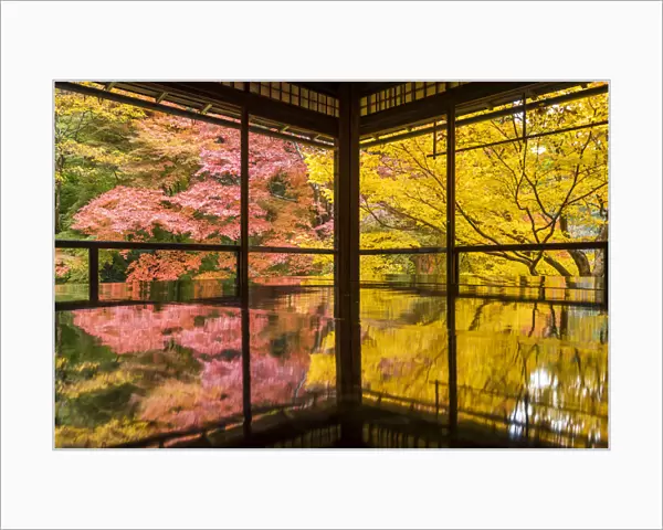 Rurikoin Temple Garden Reflection, Kyoto, Japan
