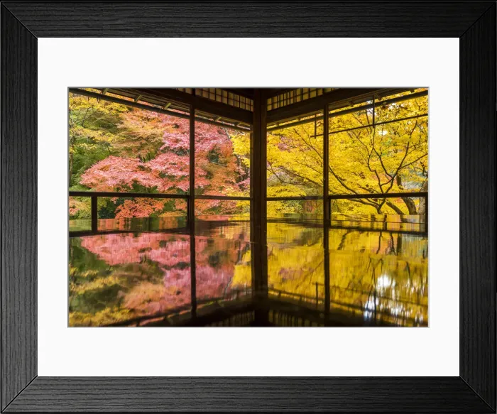 Framed Print : Rurikoin Temple Garden Reflection, Kyoto, Japan Framed Print : Rurikoin Temple Garden Reflection, Kyoto, Japan