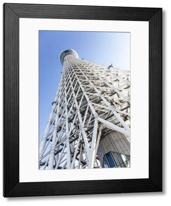 Framed Print : Tokyo Sky Tree, Tokyo, Japan Framed Print : Tokyo Sky Tree, Tokyo, Japan