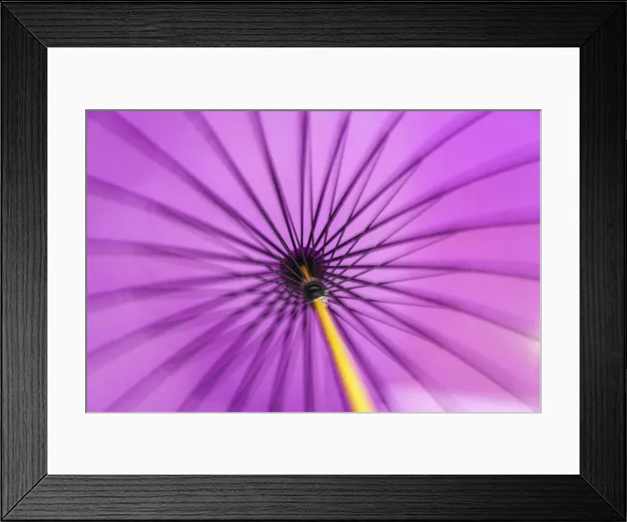 Framed Print : Motion blurred spinning traditional purple Japanese parasol or umbrella with a bamboo