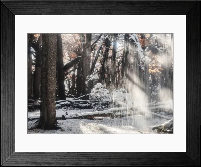 Framed Print : Lengas forest with melting snow in autumn, Los Glaciares National Park, Patagonia Framed Print : Lengas forest with melting snow in autumn, Los Glaciares National Park, Patagonia