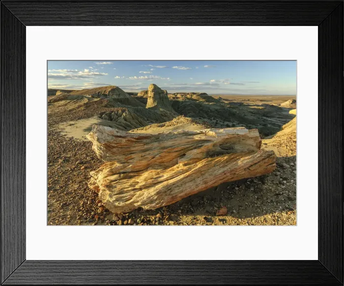 Framed Print : Argentina, Patagonia, Sarmiento, Bosque Petrificado, desert landscape Framed Print : Argentina, Patagonia, Sarmiento, Bosque Petrificado, desert landscape