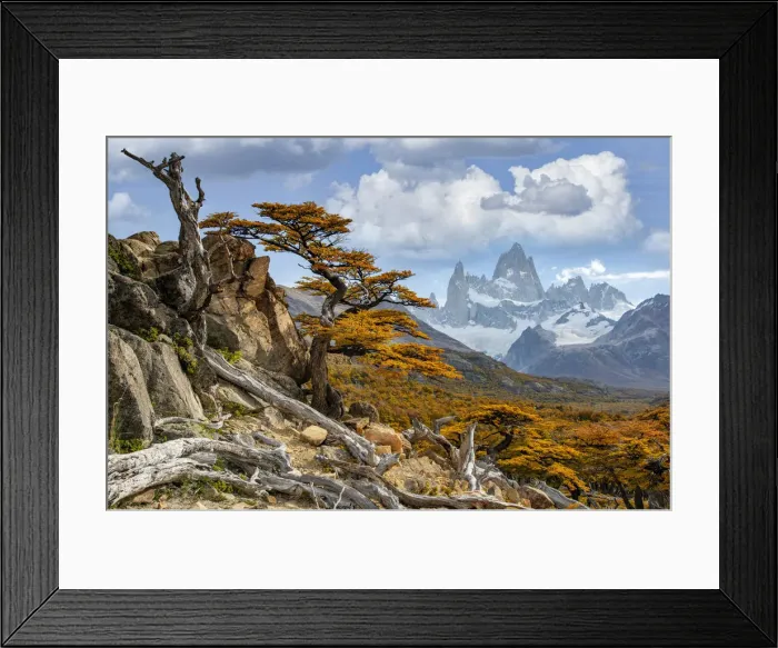 Framed Print : South America, Patagonia, Argentina, Los Glaciares, National Park, Mount Fitz Roy, (m) Framed Print : South America, Patagonia, Argentina, Los Glaciares, National Park, Mount Fitz Roy, (m)