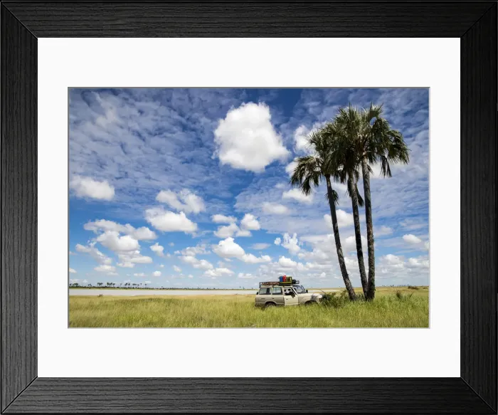 Framed Print : A vehicle parked under Palm Trees near the Makgadikgadi Salt Pans Framed Print : A vehicle parked under Palm Trees near the Makgadikgadi Salt Pans