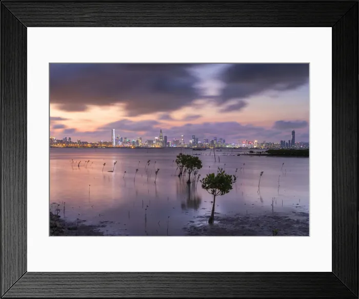 Framed Print : Skyline of Shekou, Shenzhen from Lau Fau Shan at sunset, Hong Kong Framed Print : Skyline of Shekou, Shenzhen from Lau Fau Shan at sunset, Hong Kong