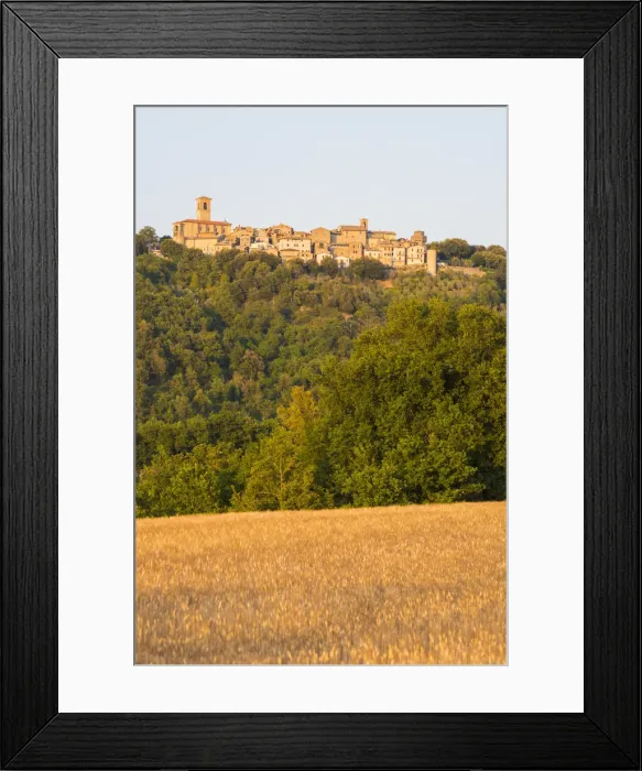 Framed Print : Wheat field and in background the little village of Collazzone, Perugia Province, Umbria Framed Print : Wheat field and in background the little village of Collazzone, Perugia Province, Umbria