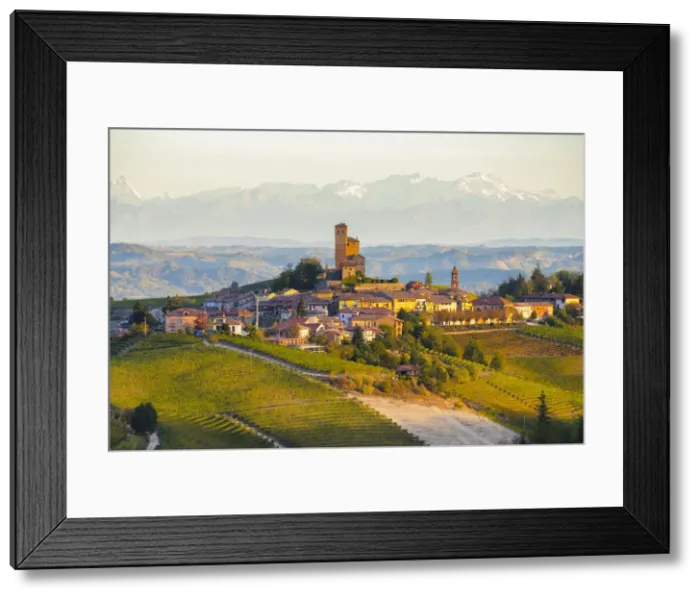 Framed Print : The vineyards of Serralunga d Alba and Alps in background during autumn sunrise Framed Print : The vineyards of Serralunga d Alba and Alps in background during autumn sunrise