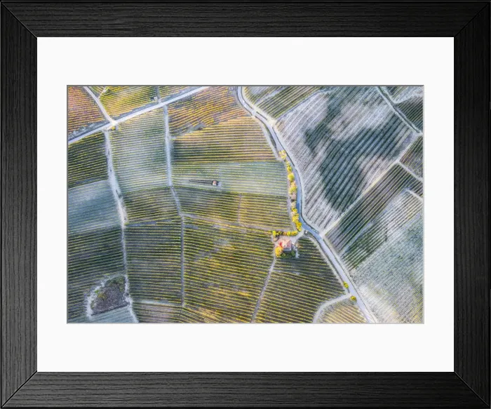 Framed Print : Aerial view of vineyards of Langhe from hot air baloon, Cuneo Province, Piedmont, Italy Framed Print : Aerial view of vineyards of Langhe from hot air baloon, Cuneo Province, Piedmont, Italy