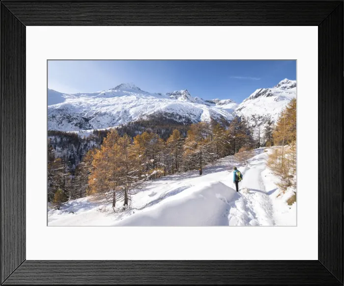 Framed Print : Woman is walking after autumn snowfall, Alpe dell Oro, Chiareggio, Valmalenco Framed Print : Woman is walking after autumn snowfall, Alpe dell Oro, Chiareggio, Valmalenco