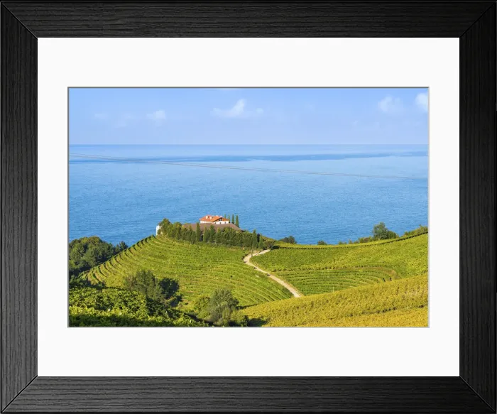 Framed Print : Eitzaga, Guipuzcoa, Basque Country, Spain. Hills of vineyards near the sea Framed Print : Eitzaga, Guipuzcoa, Basque Country, Spain. Hills of vineyards near the sea