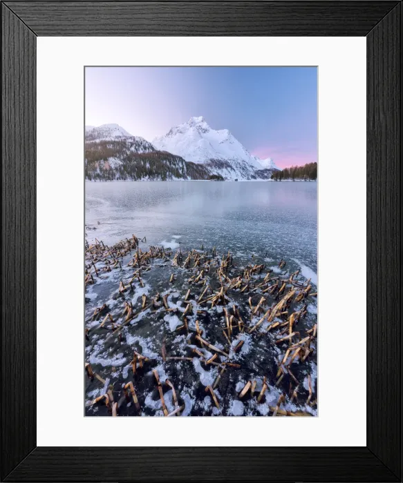 Framed Print : the frozen lake of Sils photographed on a cold winter morning, Engadine