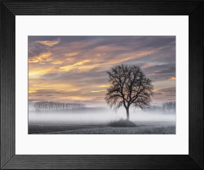 Framed Print : Turin province, Piedmont, Italy Magic winter sunrise in the Piedmont plain Framed Print : Turin province, Piedmont, Italy Magic winter sunrise in the Piedmont plain