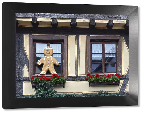 France, Alsace, Kaysersberg. Typical windows of Kaysersberg village